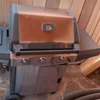 barbecue con fuoco e modalità forno