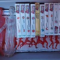 esplorando il corpo umano 