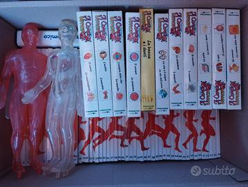 esplorando il corpo umano 