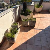 Vasi in cemento varie dimensioni