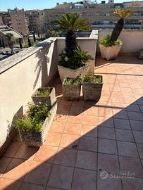 Vasi in cemento varie dimensioni