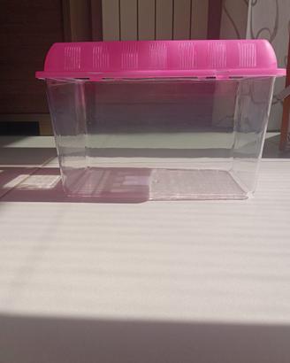 Vaschetta per pesci rossi/tartarughe