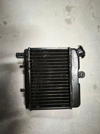 radiatore Gilera bullit 