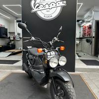 Honda Zoomer Honda zoomer 50 perfette condizioni