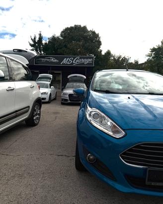 Ford Fiesta Neopatentati
