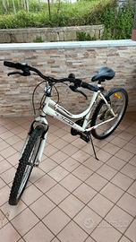 Bicicletta Schiano