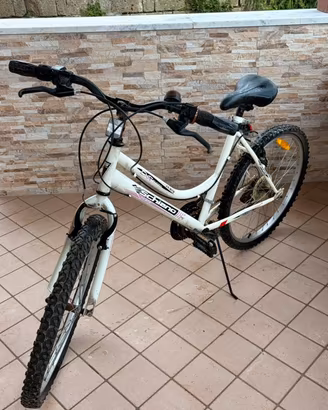 Bicicletta Schiano