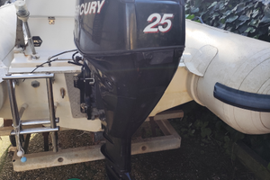 Motore Fuoribordo Mercury EFI 25 CV HP 4 tempi