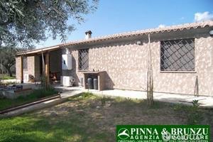 Riola sardo - casa in campagna