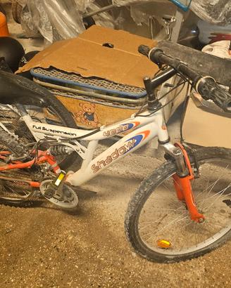 biciclette