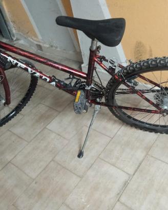 bicicletta mountain-bike Nevada 24"