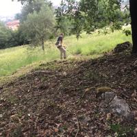 si effettuano lavori di giardinaggio 