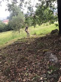 si effettuano lavori di giardinaggio 