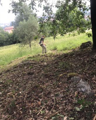 si effettuano lavori di giardinaggio 
