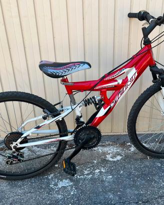 Bici mtb ammortizzata.