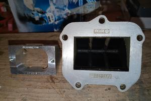 APRILIA RS 125 pacco lamellare 