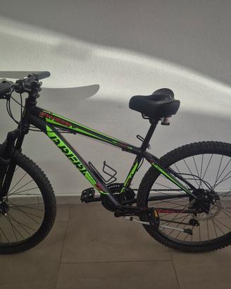 bicicletta