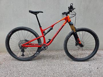 Rocky Mountain Element modello C50 Carbon 29 2022