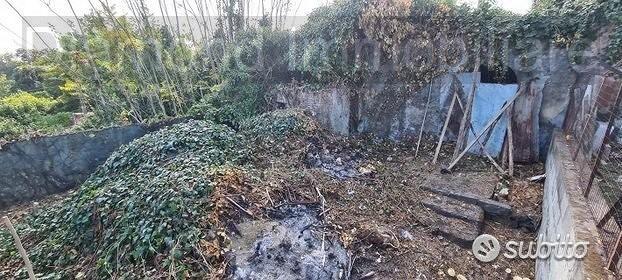 Rustico -casa singola con terreno a macchia - Vista 3