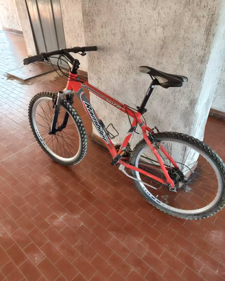 bicicletta Mountain bike 