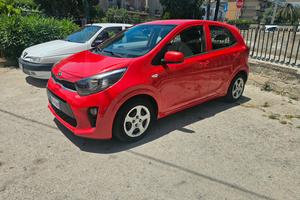 Kia Picanto 1.0 12V 5 porte Cool