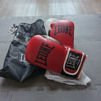 Guanti Boxe Leone Rossi