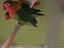 Immagine 2