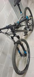 Bici RR 8.1 