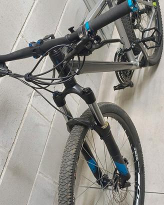 Bici RR 8.1 