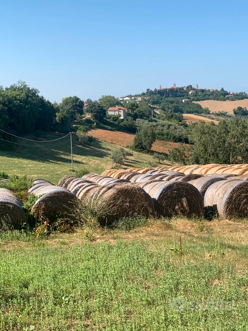 Terreno Agricolo - Vista 5