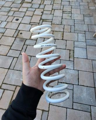 Molla mono WP 42-260 GV