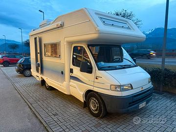 Granduca pegaso 55