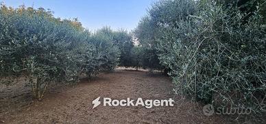 Terreno di 900 m² a Vignanello