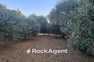 Terreno di 900 m² a Vignanello