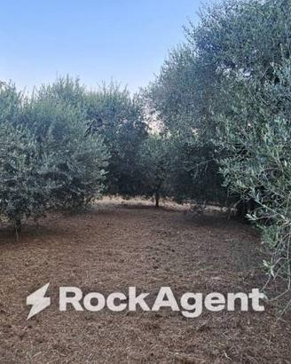 Terreno di 900 m² a Vignanello