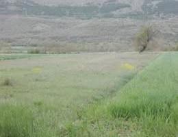 Terreno agricolo a a Celano (AQ)