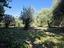 Immagine 19
