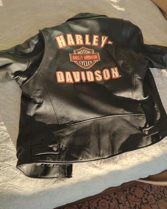 Giubbotto in pelle originale Harley Davidson tagli