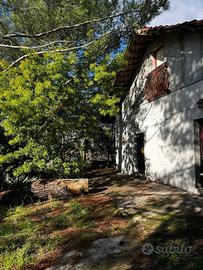 Villa o villino - Belpasso