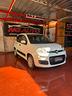 fiat-panda-1-2-easy-10-2017-perfetta