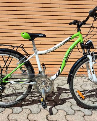 Bicicletta California Mustang
