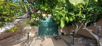 Villa abitazione con giardino