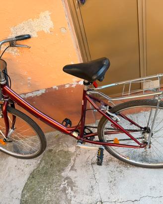 Bici da passeggio graziella