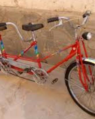 bicicletta vintage