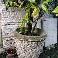 vasi, vaschette e ciotole in terracotta e cemento