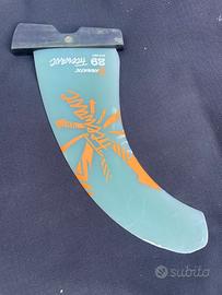 pinna windsurf