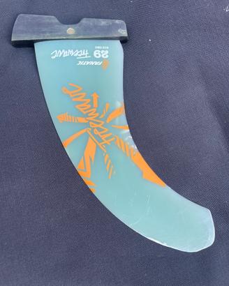 pinna windsurf