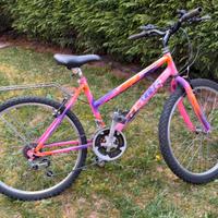 Bicicletta 24”