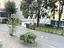 Immagine 27