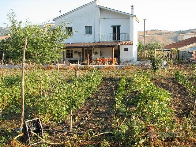 Villetta rustica con oliveto pianeggiante - Vista 5